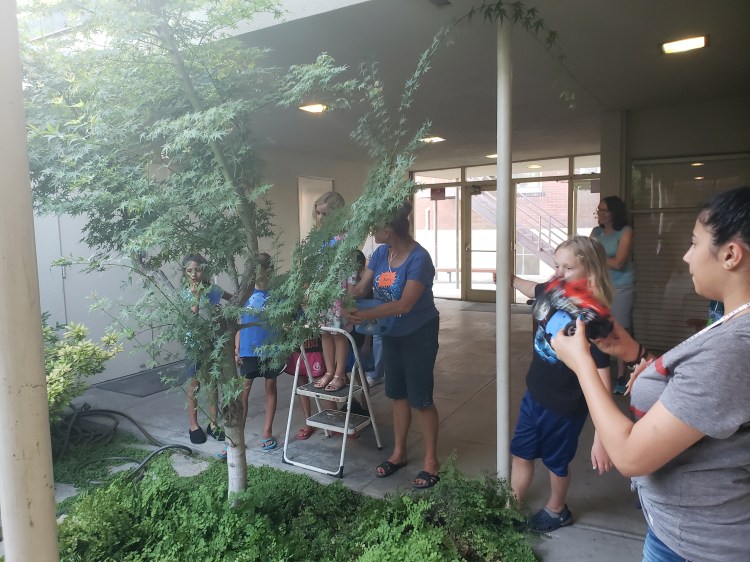 Vacation Bible School 2018